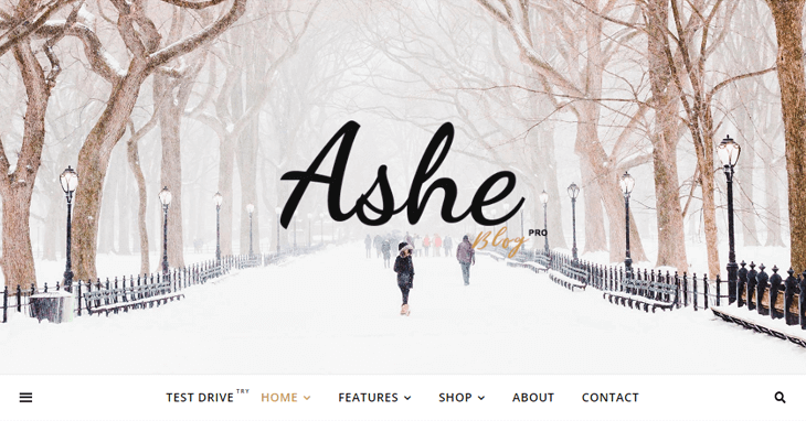 Ashe WordPress Blog Theme