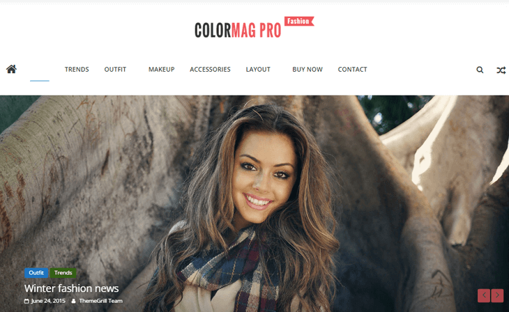 ColorMag Blog WordPress Theme