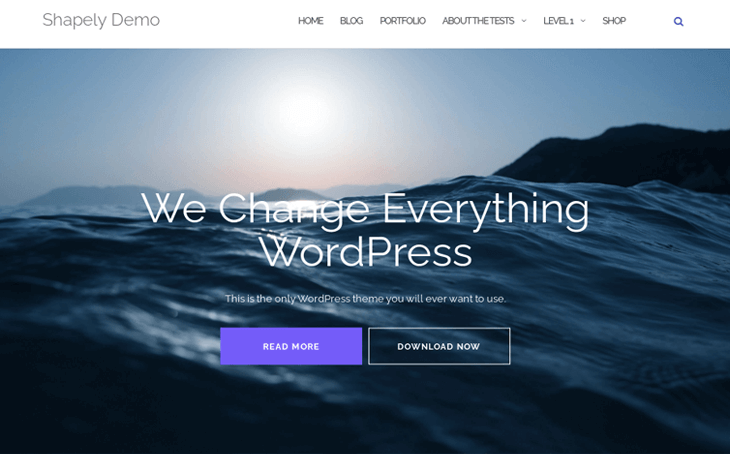 Shapely WordPress Theme